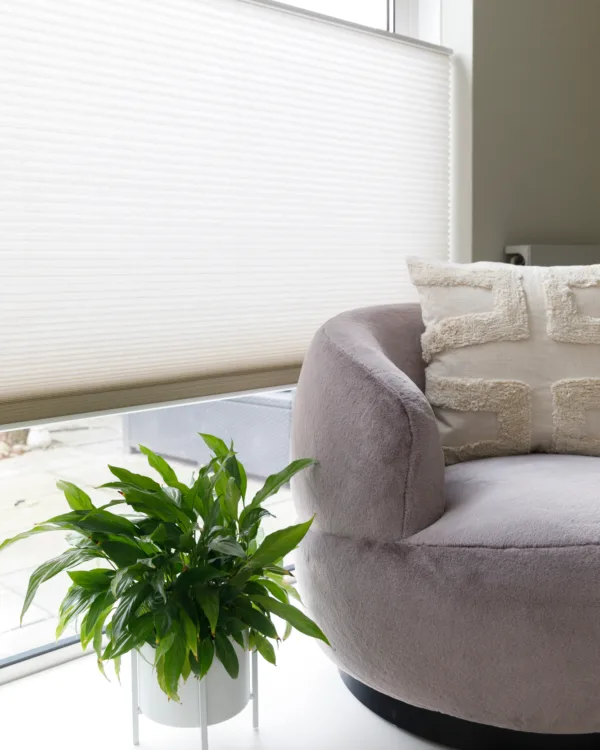 Basic Naturel met Luxaflex® PowerView® Duette® Shades