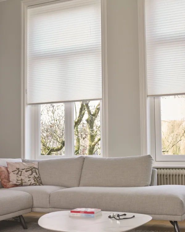 Multisol plissé gordijnen in de woonkamer