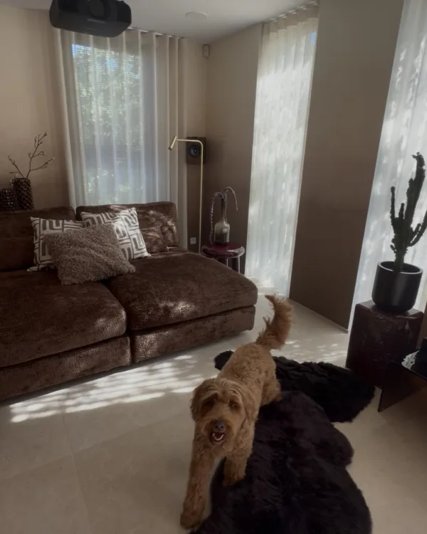 Make over Soft Natural Bart Appeltans zithoek met hond
