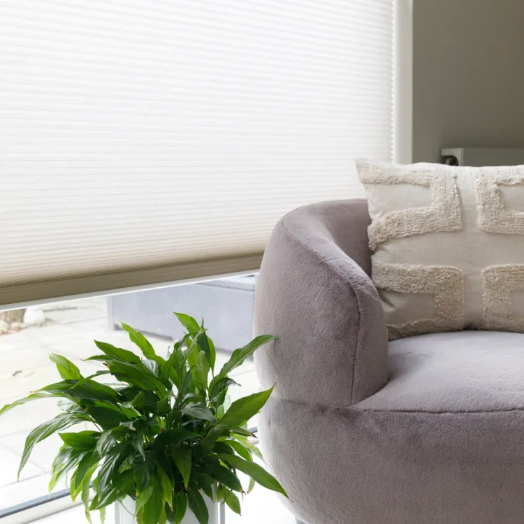 Basic Naturel met Luxaflex® PowerView® Duette® Shades