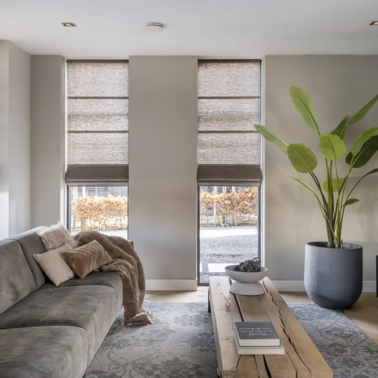 Stores plissés Zonnelux dans le salon